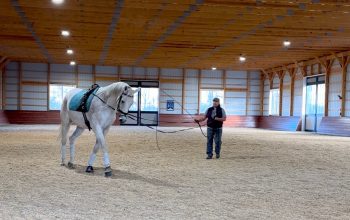 Clinic